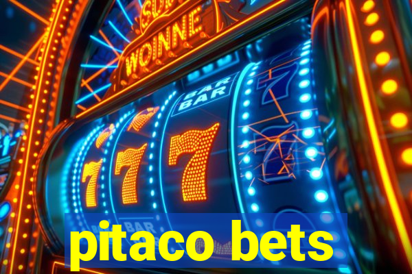 pitaco bets